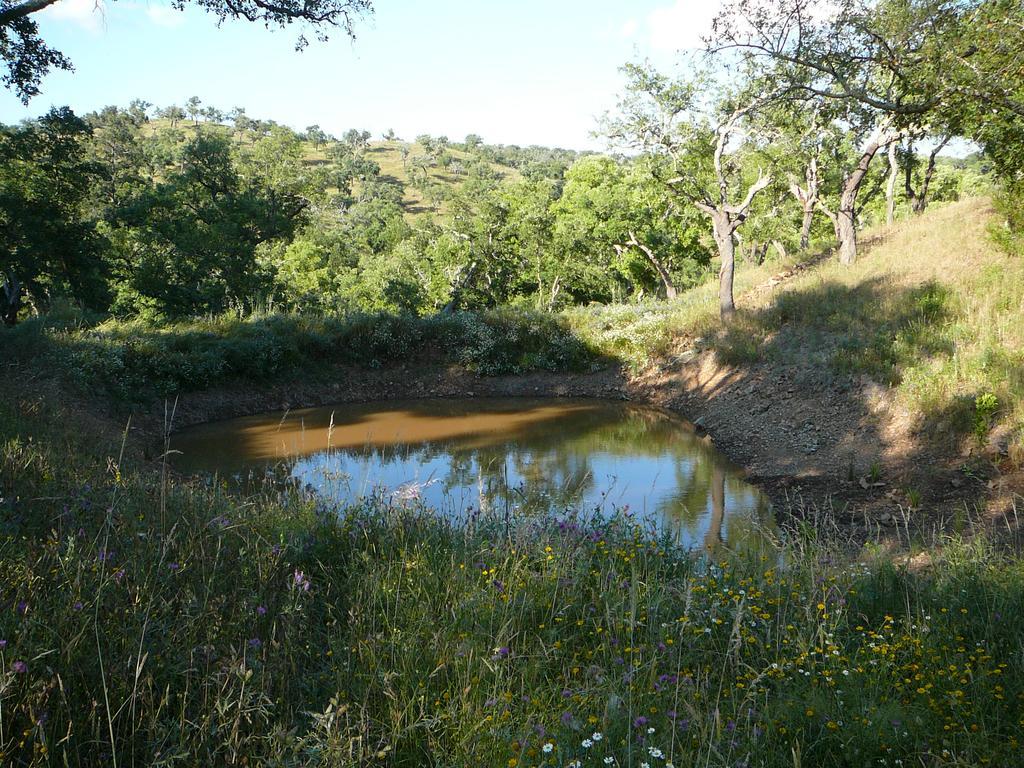 Monte Da Ameira Roncão Eksteriør bilde